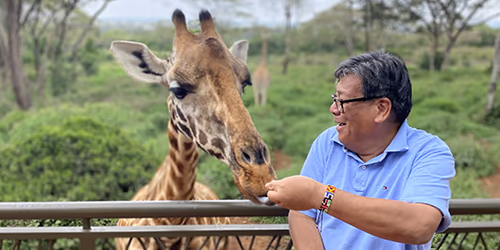 A man feeding a giraffe at the Giraffe Center in Nairobi. Nature Lovers should go on Safari with Outward Travel