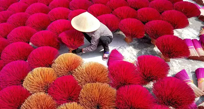 Vietnamese farmer gathering crops