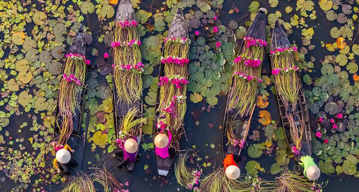 Vietnamese farmers