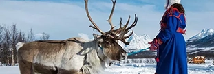 Finnish woman with reindeer