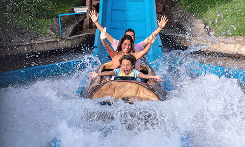 A family riding a waterslide